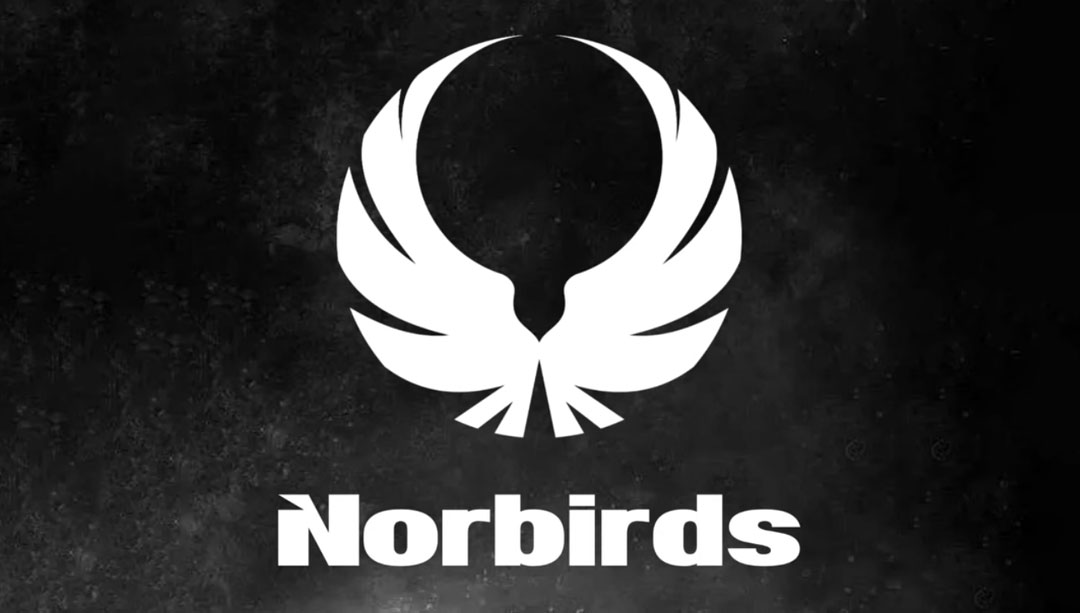 Koncert Norbirds