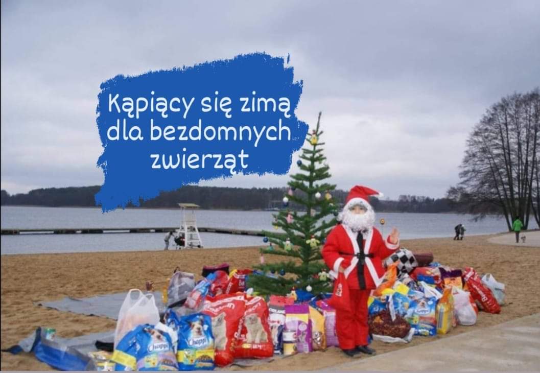 Kąpiący się Zimą dla bezdomnych zwierząt